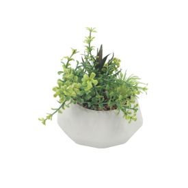 Suculenta Artificial Com Vaso De Cimento Havan Casa 12 Cm - Branco