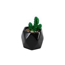 Suculenta Cactus Decorativa Havan Casa - Vaso Preto 