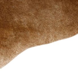 Tapete Para Quarto Ou Sala 2,00X1,50 M Exotic Havan Casa - Bege E Branco