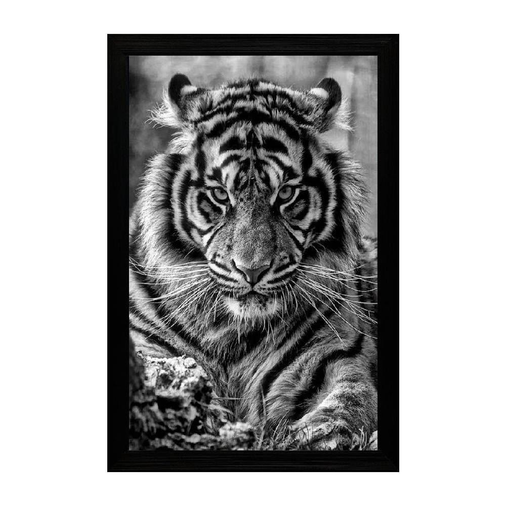 Quadro Retangular 33Cm Fx Quadros - Tigre